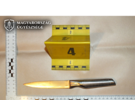 Fóti gyilkosság: milliós csalássorozat után ölte meg feleségét a férfi