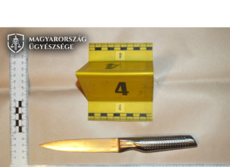 Fóti gyilkosság: milliós csalássorozat után ölte meg feleségét a férfi