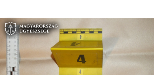 Fóti gyilkosság: milliós csalássorozat után ölte meg feleségét a férfi