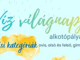 Újra víz világnapja pályázat