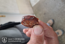 Szögekkel teletűzdeld kolbásszal akarta megölni a kutyákat