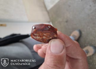 Szögekkel teletűzdeld kolbásszal akarta megölni a kutyákat