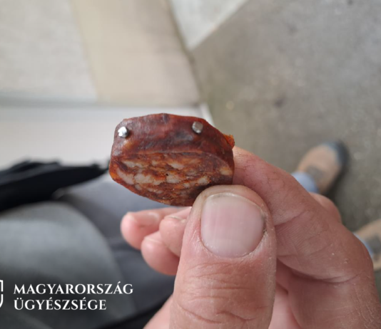 Szögekkel teletűzdeld kolbásszal akarta megölni a kutyákat