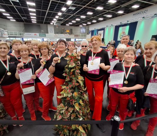Arany minősítést szereztek a REdit táncosai