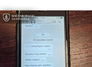A bizalmába férkőzött, majd közel 200 millió forinttal károsította meg
