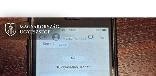 A bizalmába férkőzött, majd közel 200 millió forinttal károsította meg