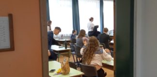 Könnyebb vagy nehezebb volt a magyarérettségi, mint várták? Szavazzon gyermeke véleménye alapján!