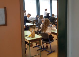 Könnyebb vagy nehezebb volt a magyarérettségi, mint várták? Szavazzon gyermeke véleménye alapján!