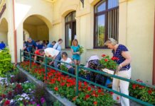 Idén is ingyenes virágosztást szerveznek Dunakeszin a Zöld Dunakeszi Program keretében