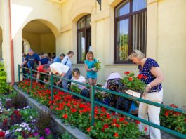 Idén is ingyenes virágosztást szerveznek Dunakeszin a Zöld Dunakeszi Program keretében