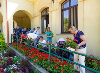 Idén is ingyenes virágosztást szerveznek Dunakeszin a Zöld Dunakeszi Program keretében