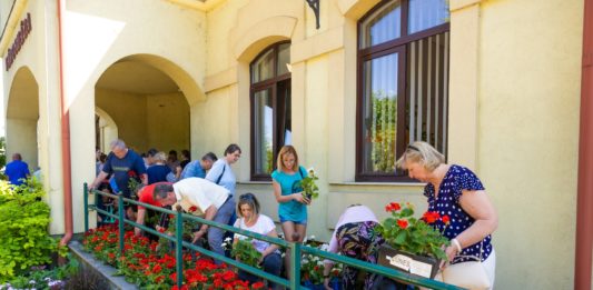 Idén is ingyenes virágosztást szerveznek Dunakeszin a Zöld Dunakeszi Program keretében