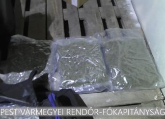 Újabb dunakeszi helyszínen csaptak le a nyomozók, 4 kiló marihuána került elő