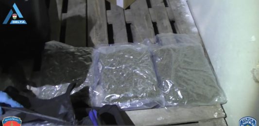 Újabb dunakeszi helyszínen csaptak le a nyomozók, 4 kiló marihuána került elő