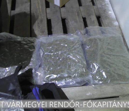 Újabb dunakeszi helyszínen csaptak le a nyomozók, 4 kiló marihuána került elő
