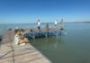 A horgásztáborral indult a nyári szezon a balatonakarattyai üdülőben