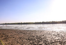 „Add már, Uram, az esőt…” – végre emelkedhet a Duna vízszintje Dunakeszinél is