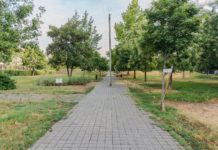Megújul a Szent István Park egy része – Zöld Oázis program 2.0 Dunakeszin
