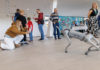 Interaktív pályaorientáció és tudomány a VSZC Lányi Ferenc Technikumban