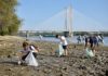 Önkénteseket várnak a Duna-part megtisztítására Dunakeszin