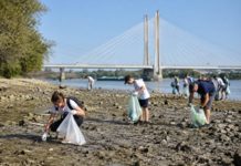 Önkénteseket várnak a Duna-part megtisztítására Dunakeszin