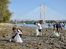 Önkénteseket várnak a Duna-part megtisztítására Dunakeszin