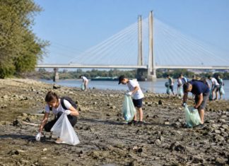 Önkénteseket várnak a Duna-part megtisztítására Dunakeszin