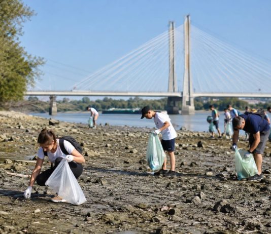 Önkénteseket várnak a Duna-part megtisztítására Dunakeszin