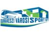 Rendkívüli zárt ülésen döntöttek a Városi Sport Kft. és a VSD ügyében